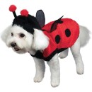 Lovely Ladybug Dog Costume