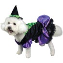 Magic Spell Dog Costume