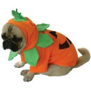 Pumpkin Pooch Dog Costume